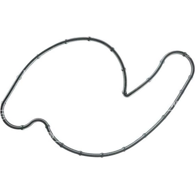 Water Pump Mounting Gasket by VICTOR REINZ - 71-14193-00 pa1