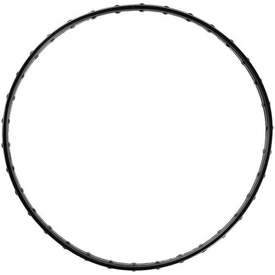 Water Pump Mounting Gasket by VICTOR REINZ - 71-14236-00 pa2