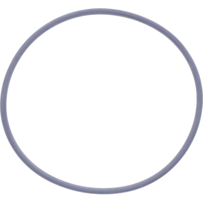 Water Pump Mounting Gasket by VICTOR REINZ - 71-14683-00 pa2