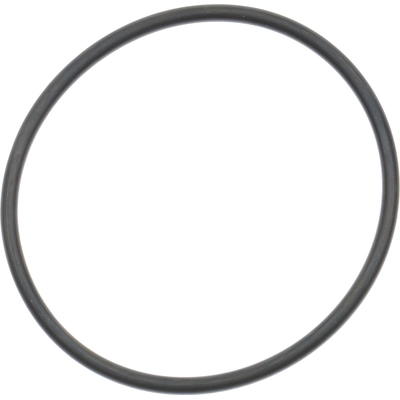 Water Pump Mounting Gasket by VICTOR REINZ - 71-15225-00 pa2