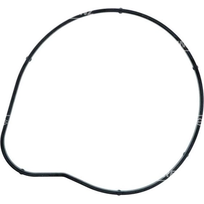 Water Pump Mounting Gasket by VICTOR REINZ - 71-17659-00 pa1