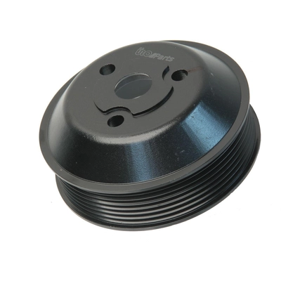 Water Pump Pulley by URO - 94810609101PRM pa2