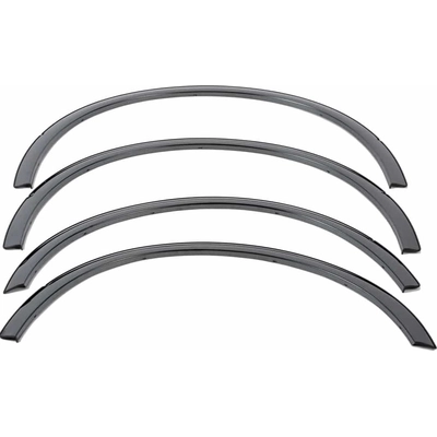 Wheel Arch Trim by PUTCO - 97230BP pa10