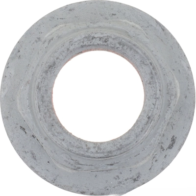 DANA SPICER - 2008564 - Wheel Axle Spindle Nut pa1