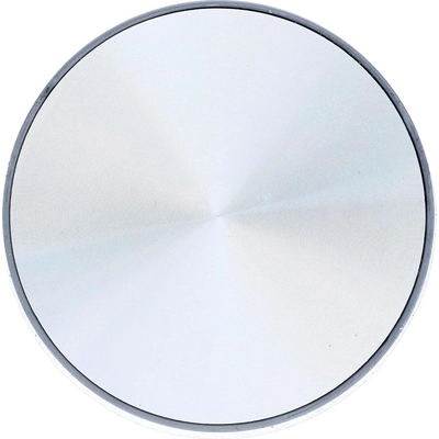 DORMAN (OE SOLUTIONS) - 909-101 - Wheel Cap pa7