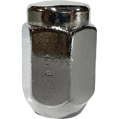 Wheel Lug Nut by FMSI AUTOMOTIVE HARDWARE - 3877-25 pa1
