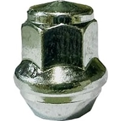 Wheel Lug Nut by FMSI AUTOMOTIVE HARDWARE - 6122-25 pa1