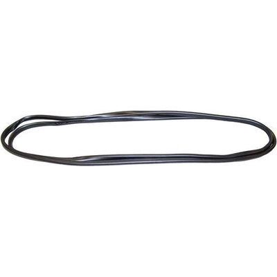 Windshield Seal by CROWN AUTOMOTIVE JEEP REPLACEMENT - 55176430AD pa1