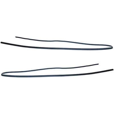 SHERMAN PARTS - F4008 - Windshield Molding pa1