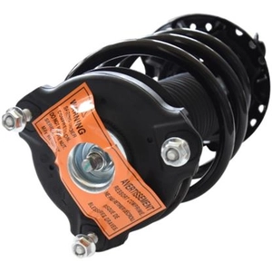 front-complete-strut-assembly-