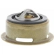 Purchase Top-Quality 160f/71c Thermostat by MOTORAD - 245-160 pa25