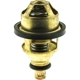 Purchase Top-Quality 160f/71c Thermostat by MOTORAD - 4055-60 pa2