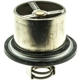 Purchase Top-Quality MOTORAD - 4061-60 - HD Thermostat- 160 Degrees w/ Seal pa2