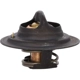 Purchase Top-Quality 160f/71c Thermostat by MOTORAD - MRD101 pa3