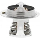 Purchase Top-Quality 170f/77c Thermostat by MOTORAD - 294-170 pa10