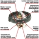 Purchase Top-Quality MOTORAD - 7340-180 - 180f/82c Thermostat pa4
