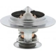 Purchase Top-Quality 192f/89c Thermostat by MOTORAD - 383-192 pa18