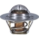 Purchase Top-Quality 192f/89c Thermostat by MOTORAD - 7240-192 pa22
