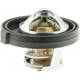 Purchase Top-Quality 195f/91c Thermostat by MOTORAD - 2340-195 pa16