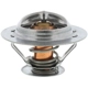 Purchase Top-Quality 205f Thermostat by MOTORAD - 383-205 pa1