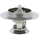 Purchase Top-Quality Thermostat 205F par MOTORAD - 383-205 pa14