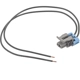 Purchase Top-Quality BLUE STREAK (HYGRADE MOTOR) - HP4750 - Horn Connector pa1