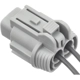 Purchase Top-Quality BLUE STREAK (HYGRADE MOTOR) - S2905 - Electrical Connector pa2