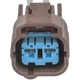 Purchase Top-Quality BLUE STREAK (HYGRADE MOTOR) - S2931 - Automatic Transmission Connector pa4