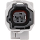 Purchase Top-Quality HOLSTEIN - 2ABS2522 - ABS Wheel Speed Sensor Wiring Harness pa5