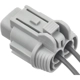 Purchase Top-Quality STANDARD - PRO SERIES - S2905 - ABS Wheel Speed Sensor Connector pa3