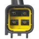 Purchase Top-Quality ABS Or Anti Skid Relay by BLUE STREAK (HYGRADE MOTOR) - RY585 pa1