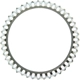 Purchase Top-Quality ABS Ring by CENTRIC PARTS - 124.33900 pa3
