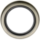 Purchase Top-Quality DORMAN (OE SOLUTIONS) - 917-570 - ABS Ring pa6