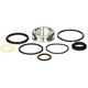 Purchase Top-Quality Absorber Rebuild Kit by FABTECH - FTS86151 pa1