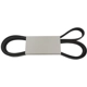 Purchase Top-Quality CROWN AUTOMOTIVE JEEP REPLACEMENT - 53034095AA - Serpentine Belt pa1
