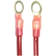 Purchase Top-Quality BLUE STREAK (HYGRADE MOTOR) - A8-8L - Switch To Starter Cable pa2