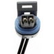 Purchase Top-Quality Connecteur de température chargé de l'air par BLUE STREAK (HYGRADE MOTOR) - HP4420 pa10