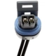 Purchase Top-Quality Connecteur de température chargé de l'air par BLUE STREAK (HYGRADE MOTOR) - HP4420 pa6