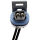 Purchase Top-Quality Air Charged Temperature Connector by BLUE STREAK (HYGRADE MOTOR) - S556 pa1