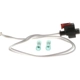 Purchase Top-Quality BWD AUTOMOTIVE - PT3841 - Air Charged Temperature Connector pa3