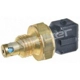 Purchase Top-Quality Air Charged Temperature Sensor by WALKER PRODUCTS - 210-1029 pa3