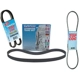 Purchase Top-Quality Air Conditioning And Air Pump Belt by DAYCO - 17630 pa12