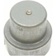 Purchase Top-Quality Air Conditioning And Heater Relay by BLUE STREAK (HYGRADE MOTOR) - RY137 pa28