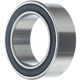 Purchase Top-Quality Roulement d'embrayage de la climatisation de SCHAEFFLER - 5908VAW pa1