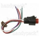 Purchase Top-Quality Air Conditioning Clutch Connector by BLUE STREAK (HYGRADE MOTOR) - HP4365 pa5