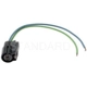 Purchase Top-Quality Air Conditioning Clutch Connector by BLUE STREAK (HYGRADE MOTOR) - S536 pa23