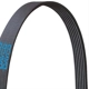 Purchase Top-Quality DAYCO - 5040355 - Poly Rib Serpentine Belt pa1