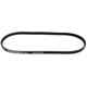 Purchase Top-Quality DAYCO - 5040355 - Poly Rib Serpentine Belt pa3
