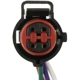 Purchase Top-Quality BWD AUTOMOTIVE - PT5736 - Power Steering Pressure Switch Connecteur pa2