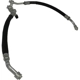 Purchase Top-Quality GLOBAL PARTS DISTRIBUTORS - 4813054 - Hose Manifold Line pa1